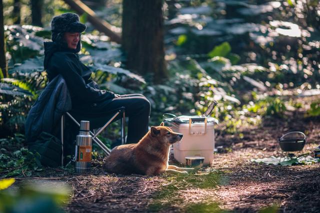 吊床露營,帳篷搭在半空中的另類露營活動