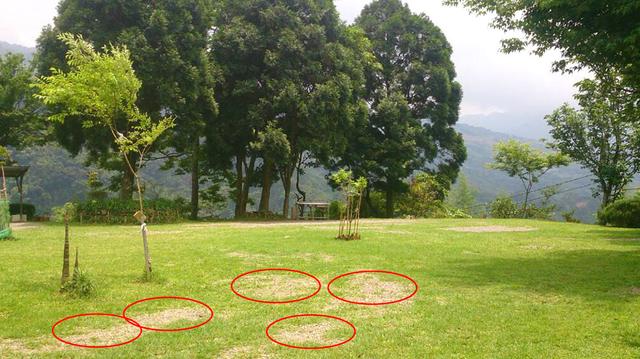 戶外露營常識,搭帳篷、扎營、選地點的注意事項