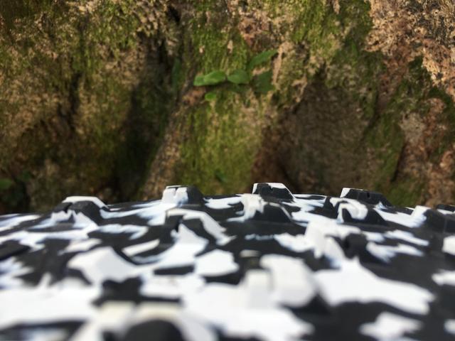 adidas阿迪達(dá)斯TERREX戶外運(yùn)動(dòng)鞋實(shí)測(cè)感受,到底有多舒服?