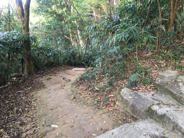 adidas阿迪達(dá)斯TERREX戶外運(yùn)動(dòng)鞋實(shí)測(cè)感受,到底有多舒服?