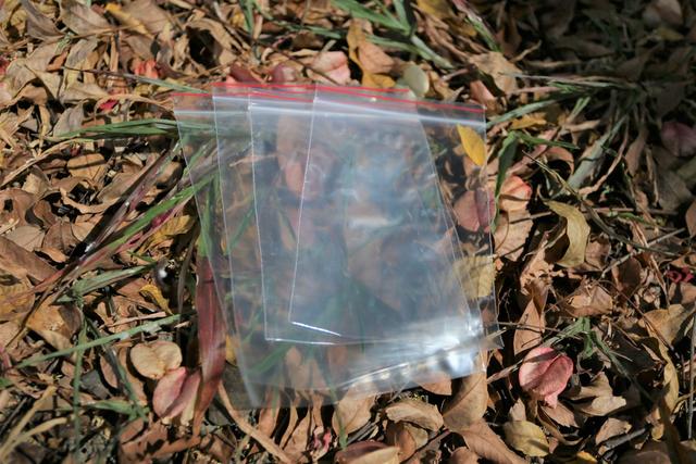 女生爬山要準(zhǔn)備什么?必備的10個(gè)登山小物件