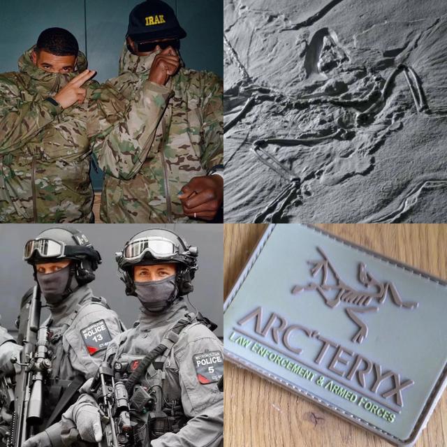 始祖鳥高端系列Arc’teryx Veilance,幫我選下買哪件好?