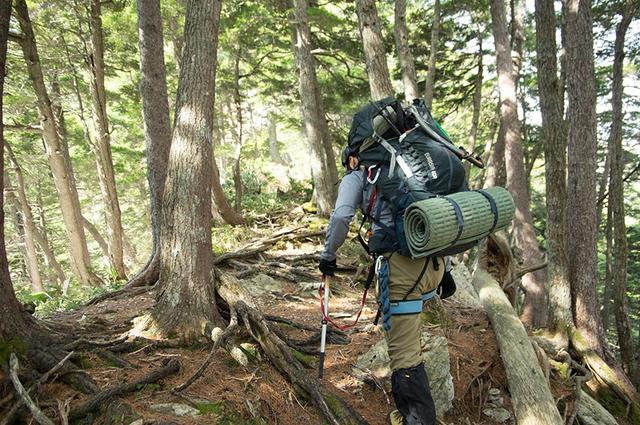 我應該如何選登山背包呢?驢友告訴你如何正確的選購及使用背包