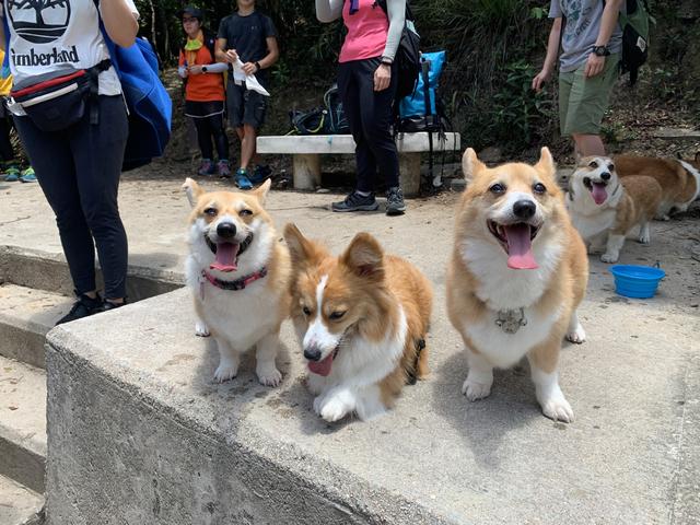 爬山是自虐還是快樂?說說那些爬到懷疑人生的時刻