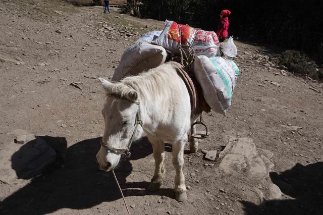成都出發,你也可以攀登人生第一座5000米的雪山四姑娘山大峰