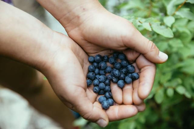 爬山要帶什么吃的?參考一下國外的登山向導如何介紹