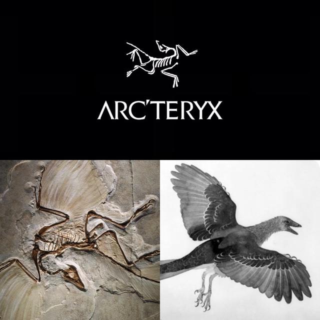 始祖鳥高端系列Arc’teryx Veilance,幫我選下買哪件好?
