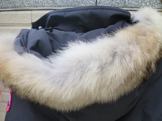 加拿大鵝Canada Goose介紹在這里了,挑最適合自己的一款