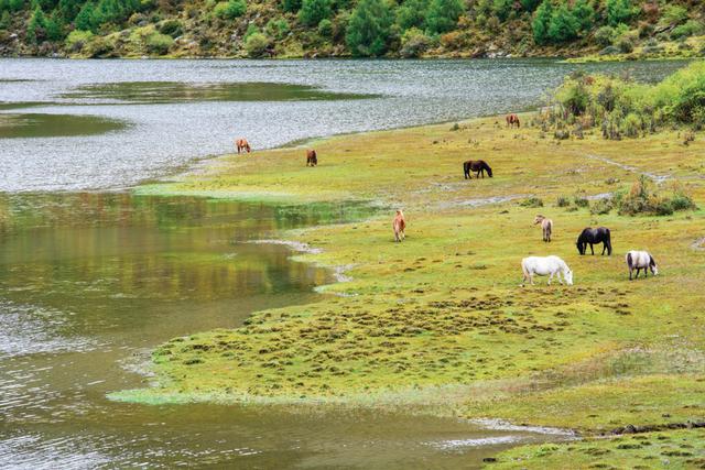 分享初級(jí)雪山攀登,挑戰(zhàn)四姑娘山成功登頂二峰