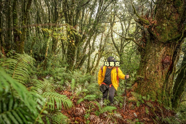 專業戶外品牌Mountain Hardwear山浩外套測評,一款要比始祖鳥Atom便宜的棉服