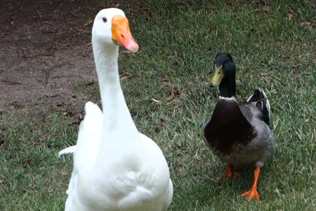 買不到合適的羽絨服?這篇教你如何選購羽絨服小常識