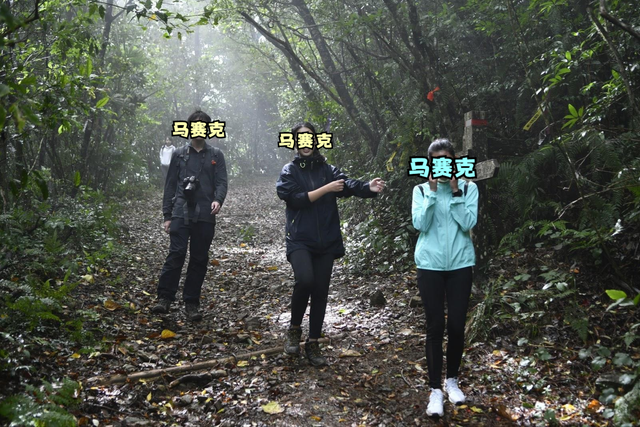 新西蘭戶外品牌實測,穿著icebreaker美麗諾羊毛衣探訪山林