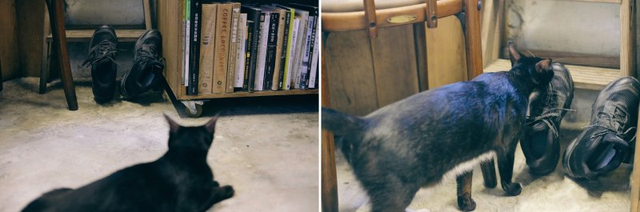 穿上Salomon薩洛蒙入門級登山鞋,來一場說走就走的旅行