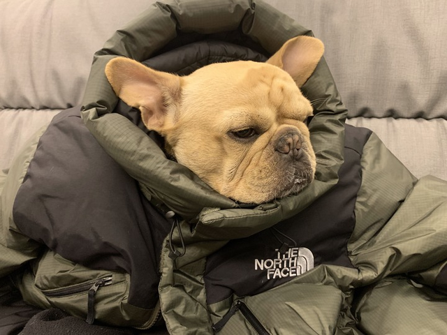 冬天外套怎么選?你買GORE-TEX究竟是為了好看還是好穿