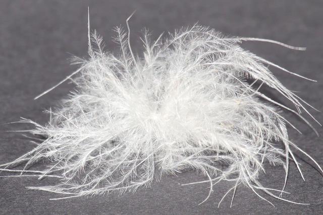 買不到合適的羽絨服?這篇教你如何選購羽絨服小常識