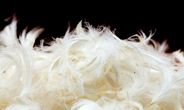 冬天的羽絨服和睡袋都這么貴,更要學(xué)會怎么清洗和保養(yǎng)