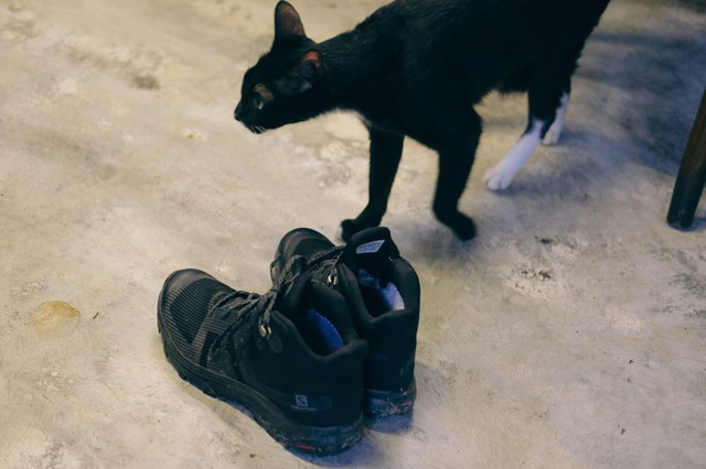 穿上Salomon薩洛蒙入門級登山鞋,來一場說走就走的旅行