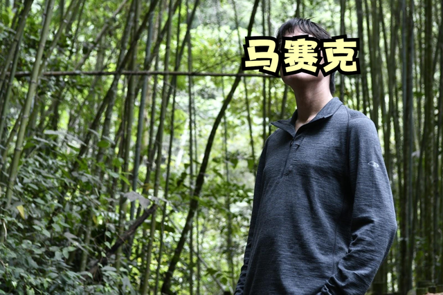 新西蘭戶外品牌實測,穿著icebreaker美麗諾羊毛衣探訪山林