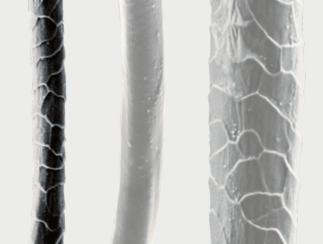 新西蘭戶外品牌實測,穿著icebreaker美麗諾羊毛衣探訪山林