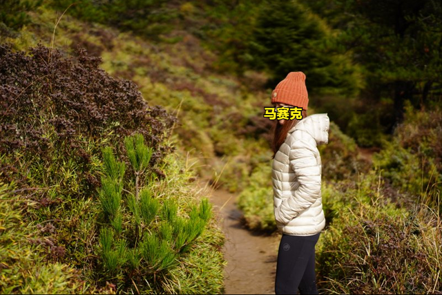 意大利戶外品牌Save The Duck羽絨服實測,除了保暖還能救鴨子的命