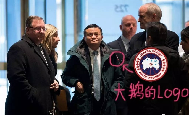 零下20度能讓你穿出汗的羽絨服,明星們穿的加拿大鵝什么來頭?