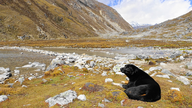 尼泊爾珠峰大本營徒步,用14天走完一生必走的線路