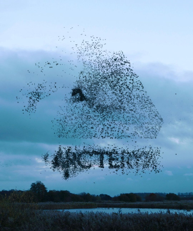 頂級戶外品牌Arc’teryx成潮流新寵,始祖鳥貴得有理?