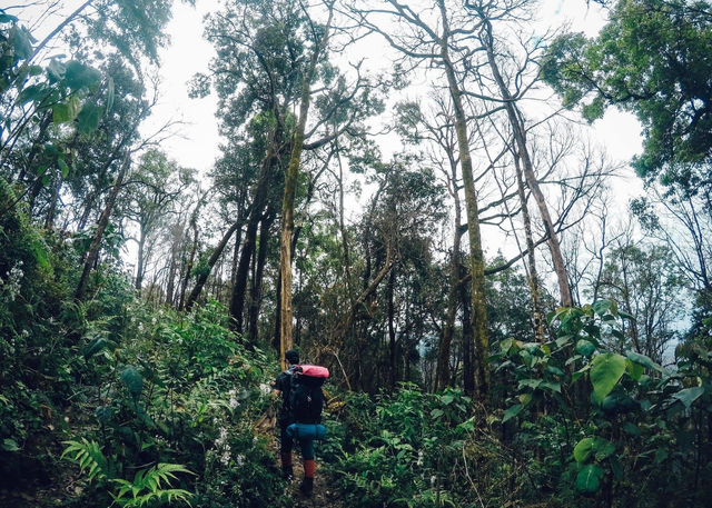 登山包怎么選?來自戶外驢友們推薦的幾款背包