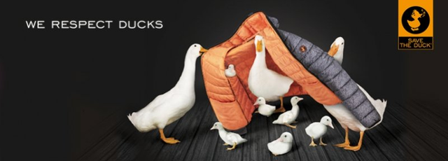 意大利戶外品牌Save The Duck羽絨服實測,除了保暖還能救鴨子的命
