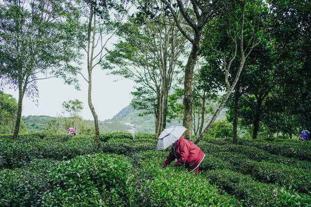 買棉服還是羽絨服?Arc'teryx始祖鳥棉服貴,但暖和呀
