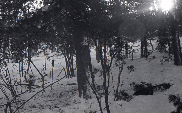 離奇山難“迪亞特洛夫事件”9名登山者慘死,61年后真相大白