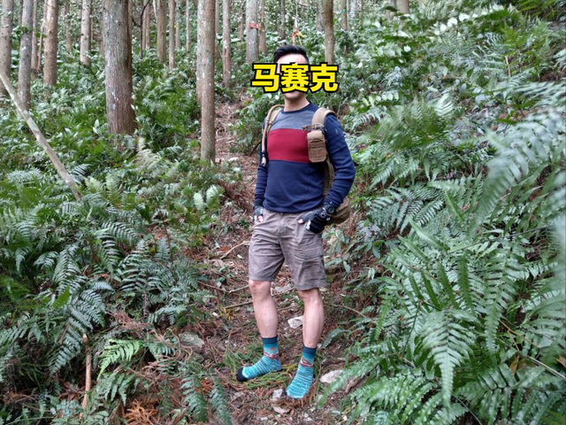 Smartwool羊毛衣測評體驗,全年都能穿的美利奴羊毛你信嗎?