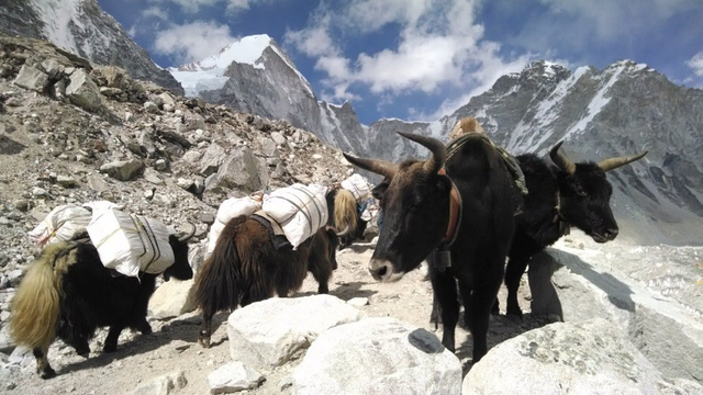 如果有人愿意給你50萬贊助你去爬珠峰,你會去嗎?