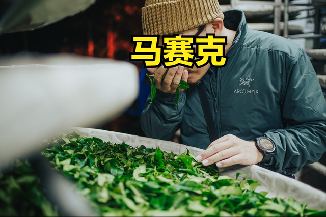 買棉服還是羽絨服?Arc'teryx始祖鳥棉服貴,但暖和呀