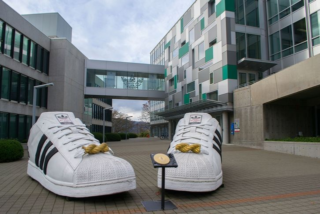 阿迪達斯擬出售“拖油瓶”Reebok,傳安踏有意接手