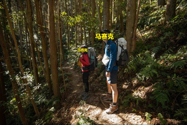 我也想去爬山,看看都帶哪些衣服,推薦給新手的登山中層穿搭