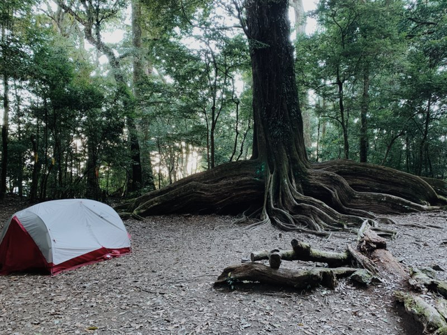 文藝青年和露營玩家喜歡的美國品牌Teva,除了涼鞋還有徒步鞋可以穿