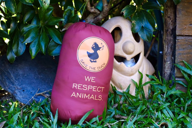 許多人再窮也要買一件加拿大鵝?還是買這件能救鴨子的Save The Duck羽絨外套吧