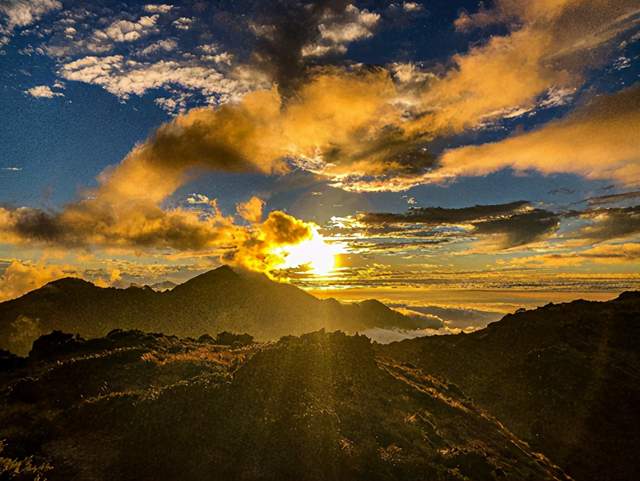 許多人再窮也要買一件加拿大鵝?還是買這件能救鴨子的Save The Duck羽絨外套吧