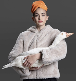 許多人再窮也要買一件加拿大鵝?還是買這件能救鴨子的Save The Duck羽絨外套吧