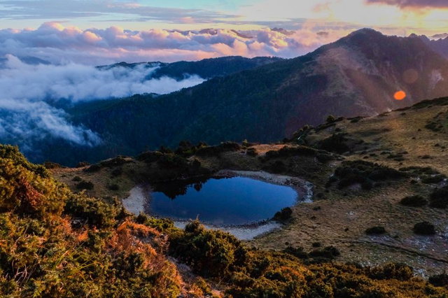 許多人再窮也要買一件加拿大鵝?還是買這件能救鴨子的Save The Duck羽絨外套吧