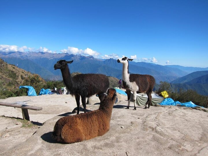 秘魯的“天空之城”馬丘比丘徒步，會是怎樣的一種旅行體驗