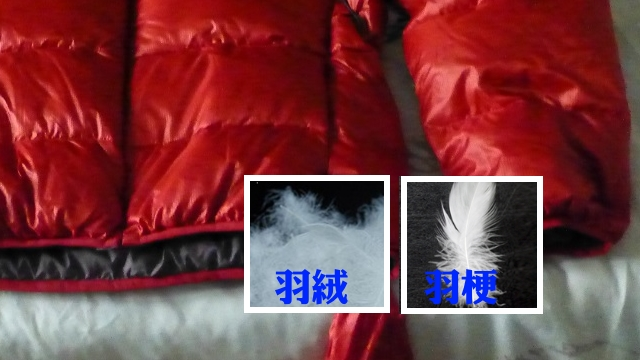 你新買的羽絨服是真的嗎?用這4招,輕松辨別真假