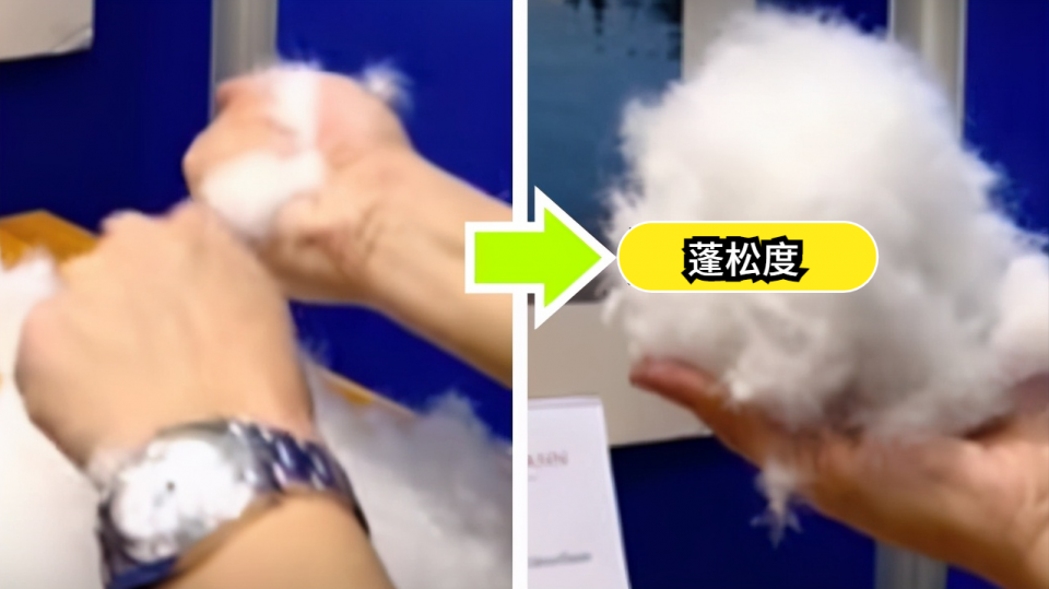 你新買的羽絨服是真的嗎?用這4招,輕松辨別真假