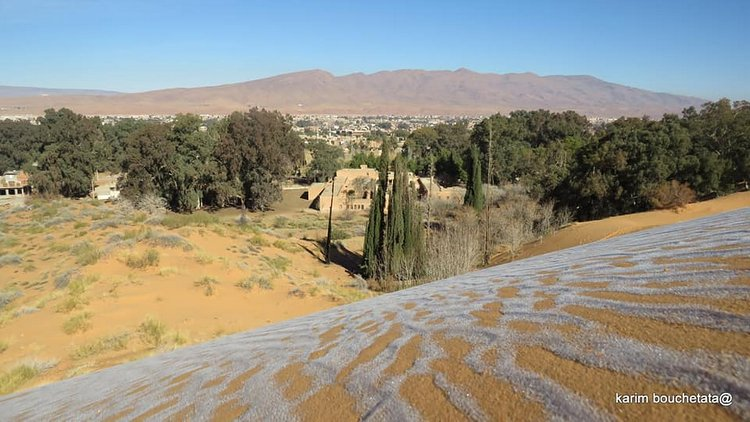 撒哈拉沙漠下雪了,駱駝現身雪地奇景曝光
