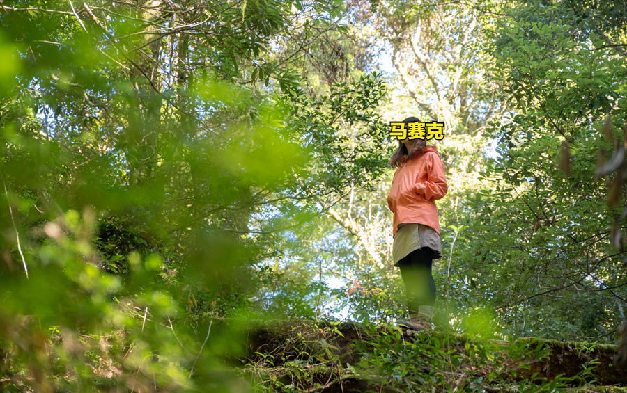 這個來自北歐的老人頭Norr?na也是頂級品牌,想買沖鋒衣的了解下