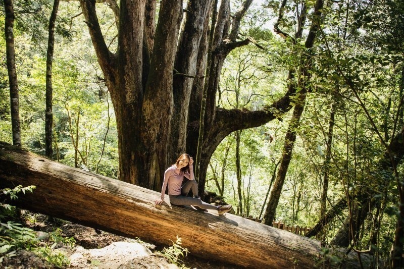迎接夏天的到來，妹子穿了雙TEVA戶外登山鞋開箱體驗
