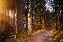 戶外徒步你不得不知道的10個安全提示，不懂就是害自己