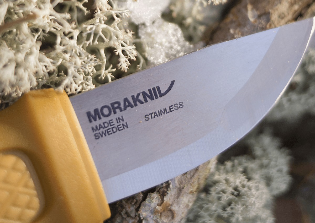 t012b77dd87be1bffe7.jpg?size=1200x851