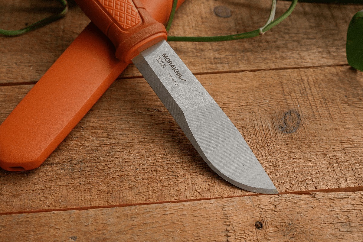 t01524c5b15482daa88.jpg?size=1200x801